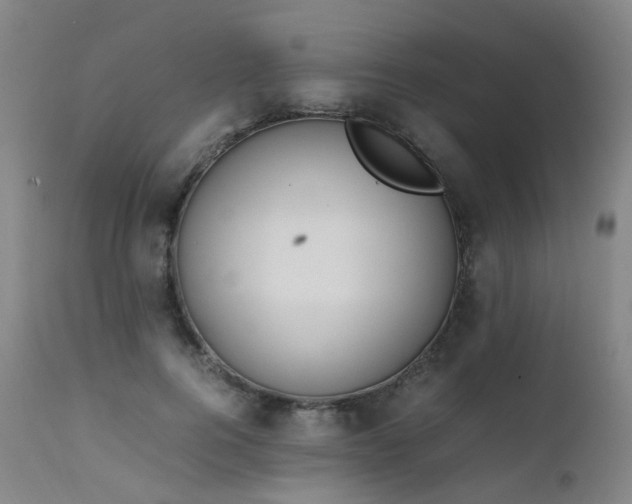X0000111660744200907171609