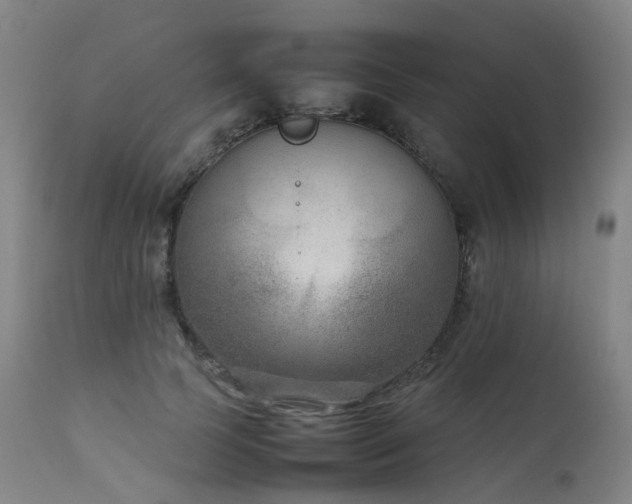 X0000111660745200907171609