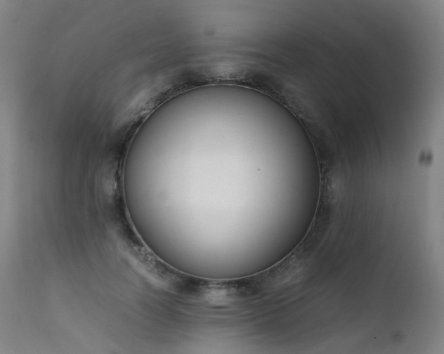 X0000111660746200907171609