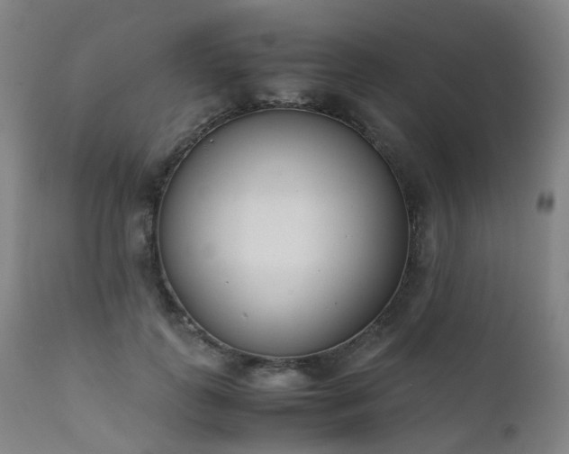 X0000111660747200907171609