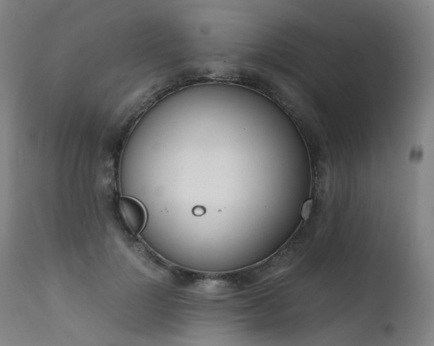 X0000111660748200907171609