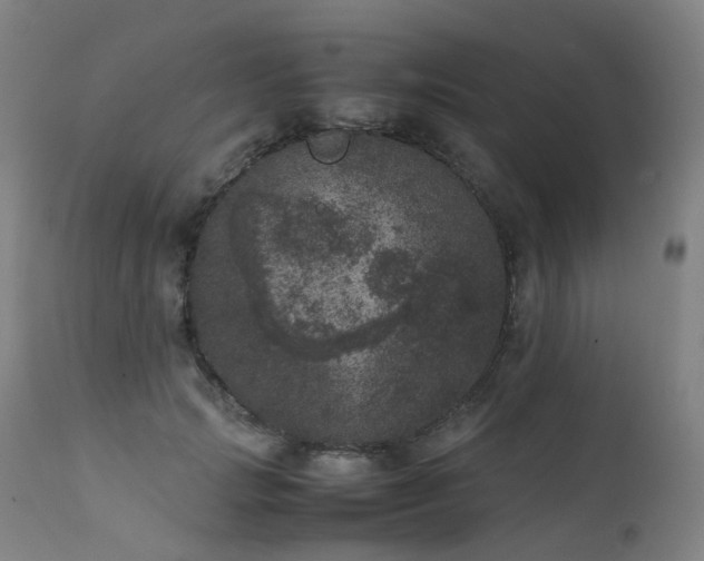 X0000111660749200907171609
