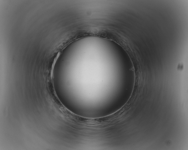 X0000111660750200907171609