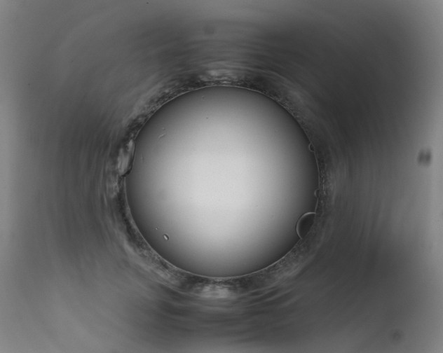 X0000111660751200907171609