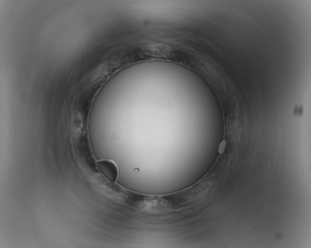 X0000111660752200907171609