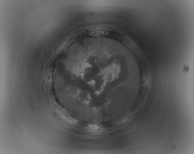 X0000111660753200907171609