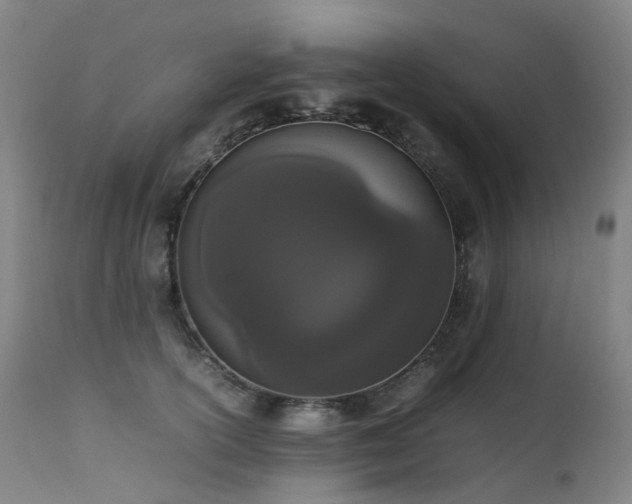 X0000111660754200907171609