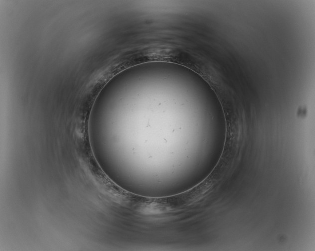 X0000111660755200907171609