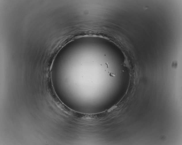 X0000111660756200907171609