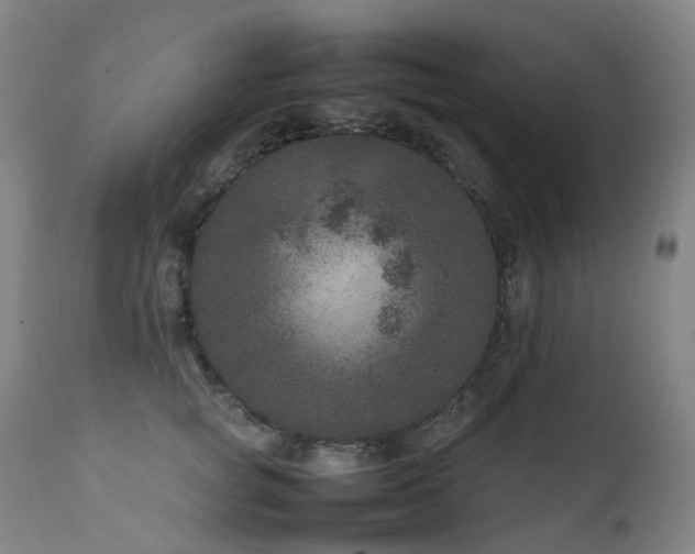 X0000111660757200907171609