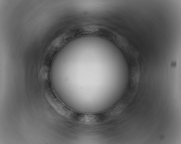 X0000111660758200907171609
