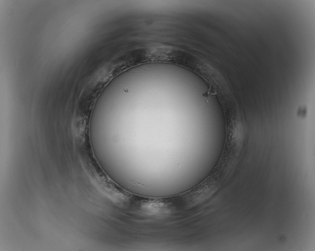 X0000111660759200907171609