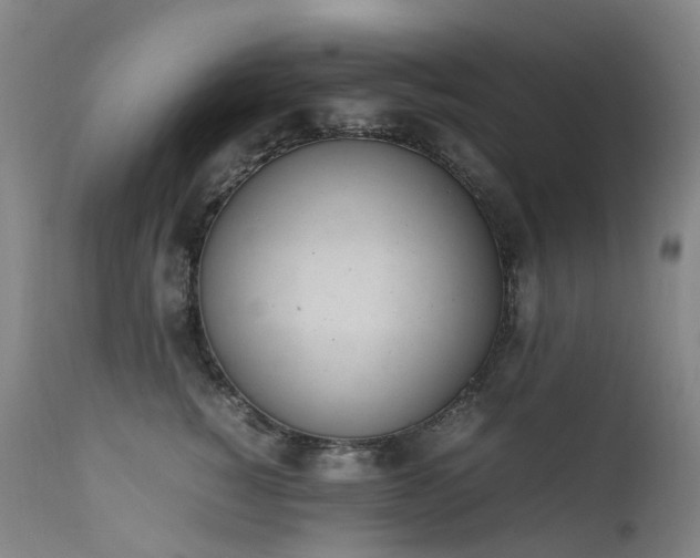 X0000111660760200907171609