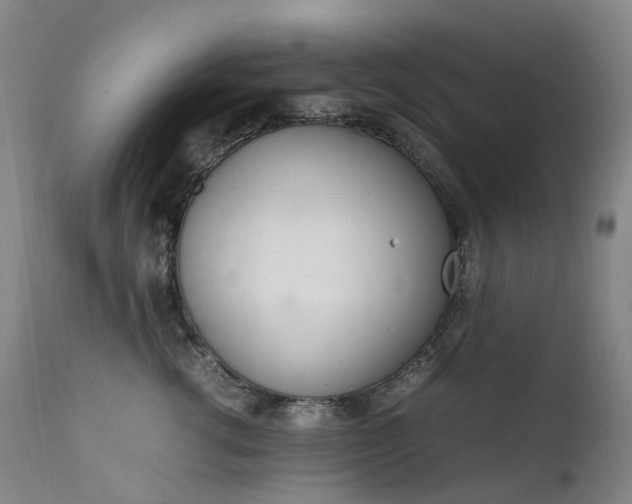 X0000111660762200907171609