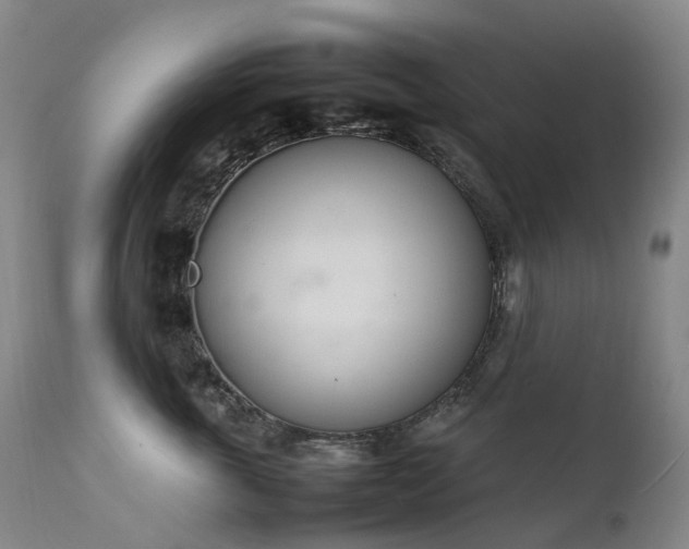 X0000111660763200907171609