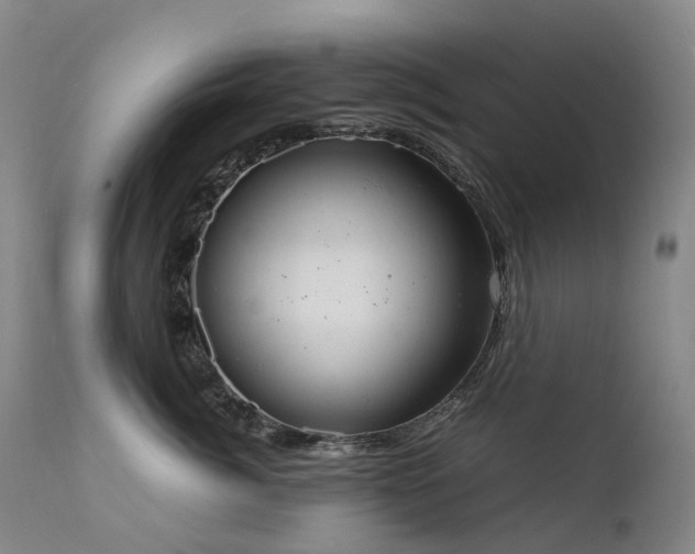 X0000111660764200907171609