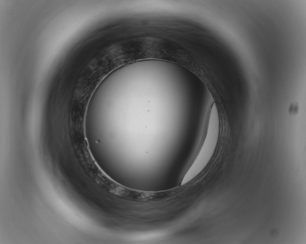 X0000111660765200907171609