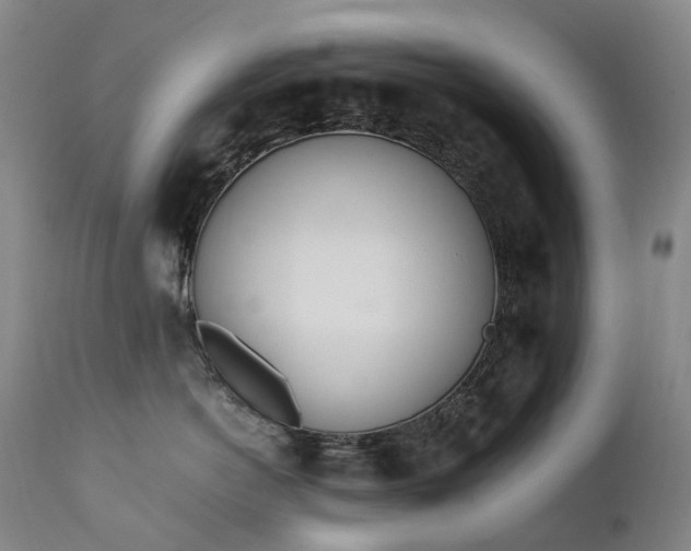 X0000111660766200907171609