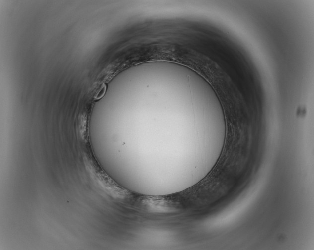 X0000111660767200907171609