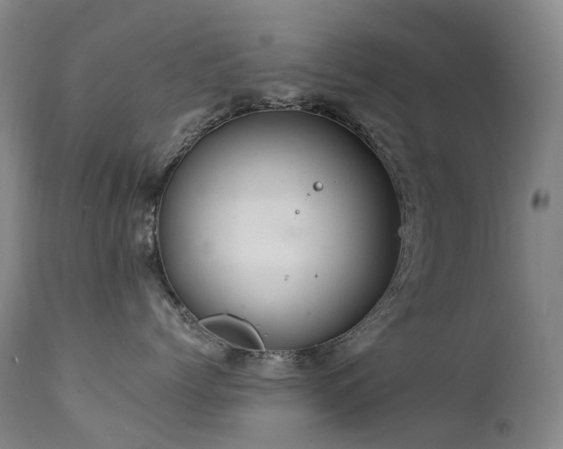 X0000111660768200907171609