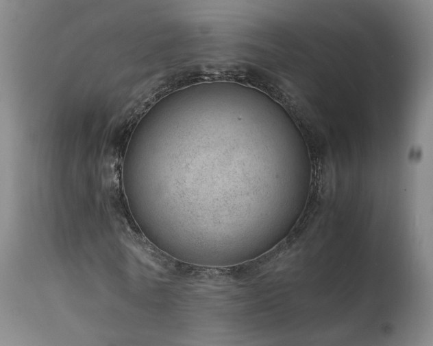 X0000111660770200907171609