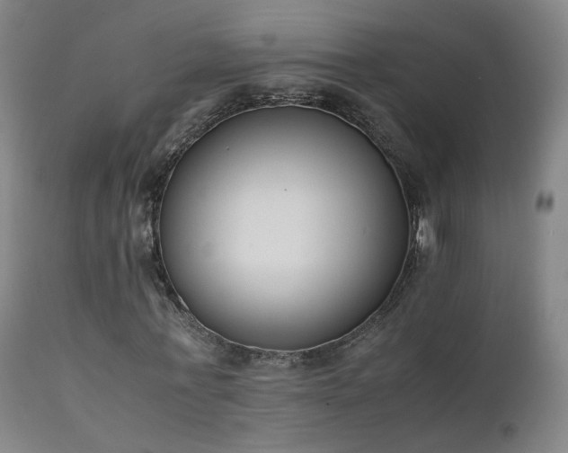 X0000111660771200907171609