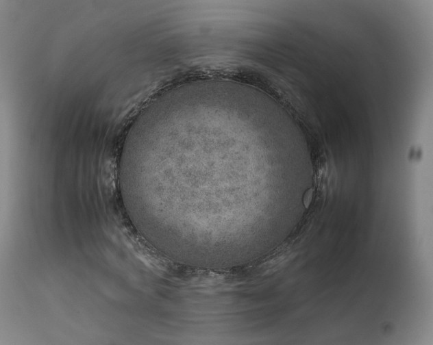 X0000111660772200907171609