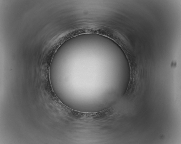 X0000111660773200907171609