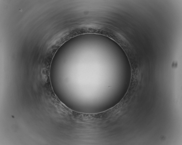 X0000111660774200907171609