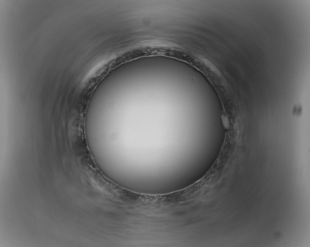 X0000111660775200907171609