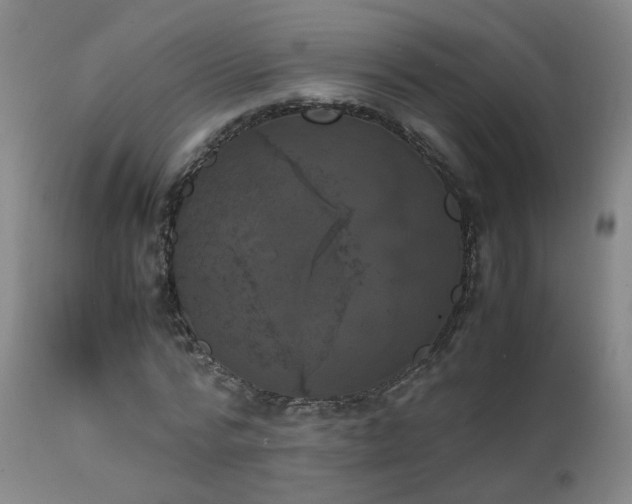 X0000111660776200907171608