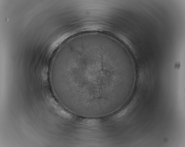 X0000111660778200907171608
