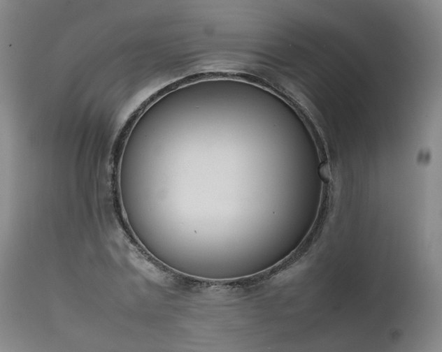 X0000111660779200907171608