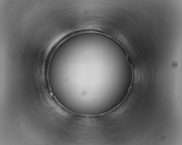 X0000111660780200907171608