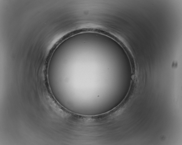 X0000111660783200907171608