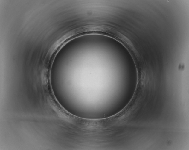 X0000111660786200907171608