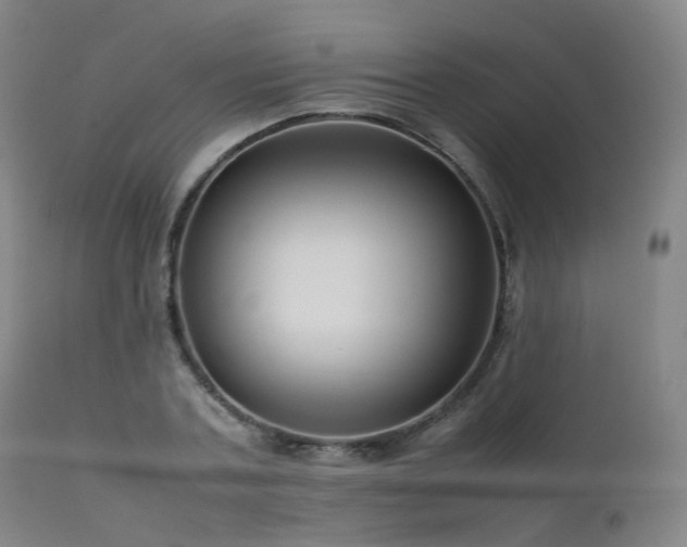 X0000111660787200907171608