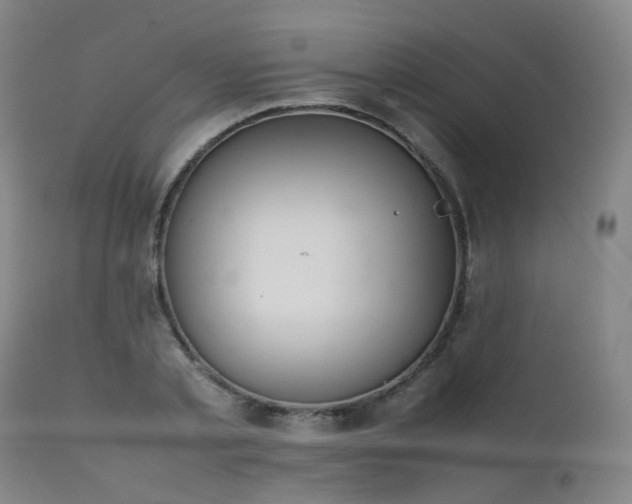 X0000111660789200907171608