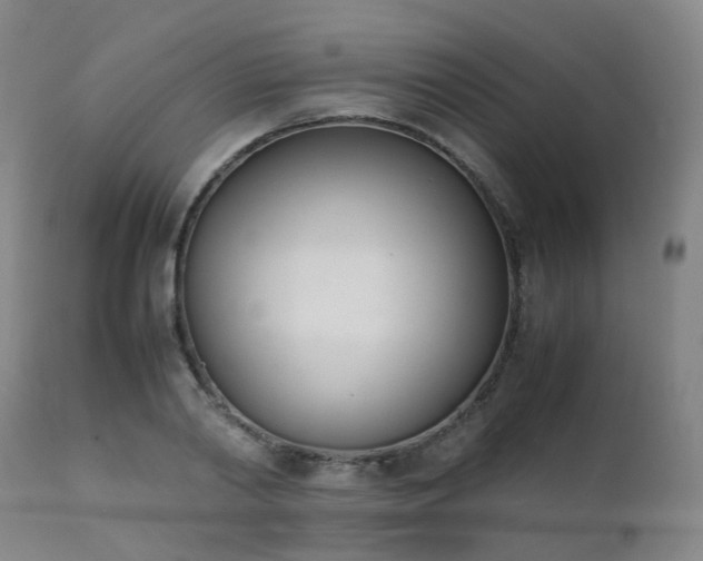 X0000111660790200907171608