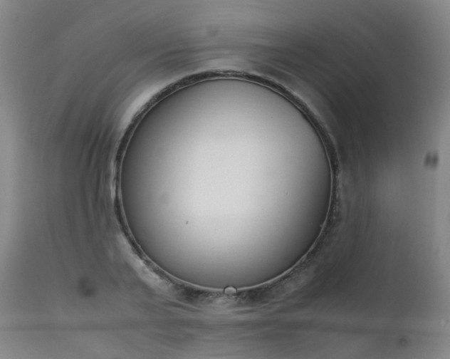 X0000111660791200907171608