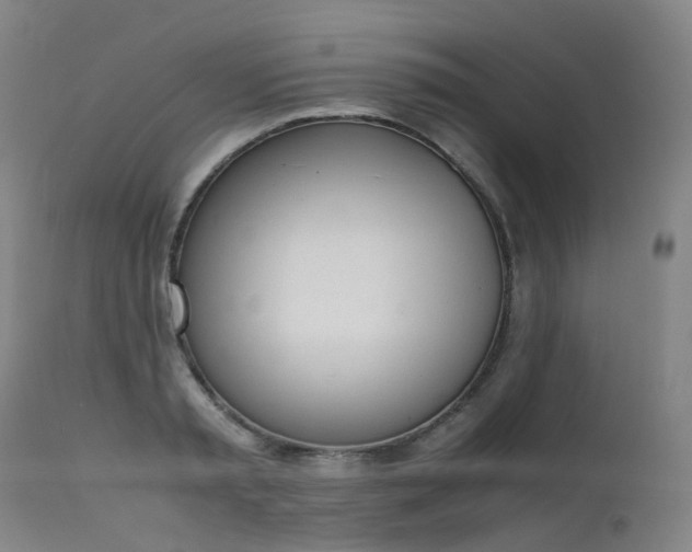 X0000111660797200907171608