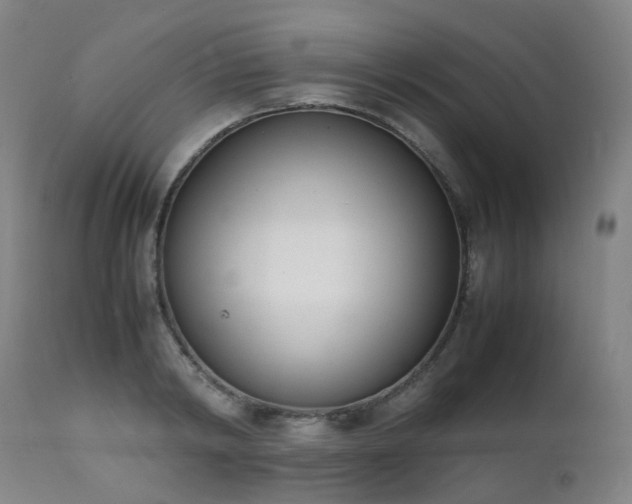 X0000111660798200907171608