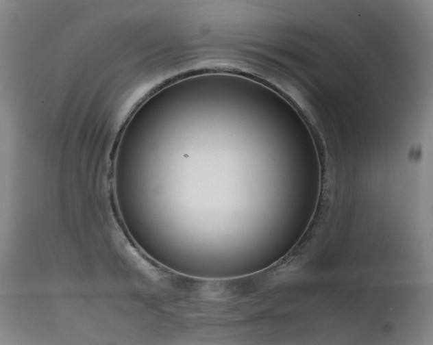 X0000111660799200907171608