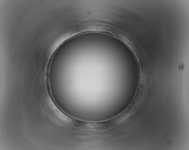 X0000111660803200907171608