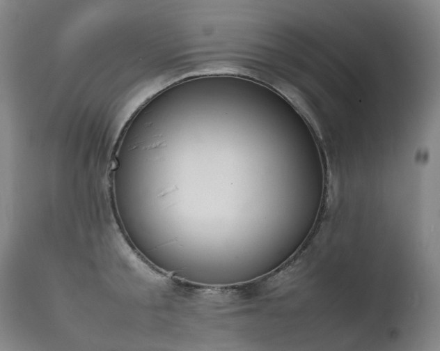 X0000111660805200907171608