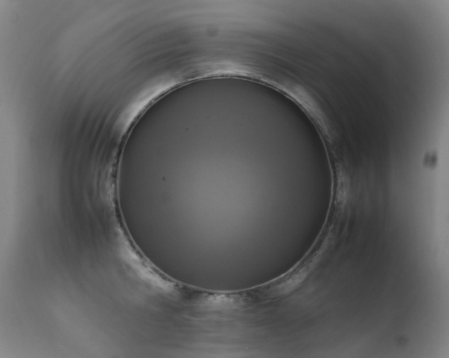 X0000111660806200907171608