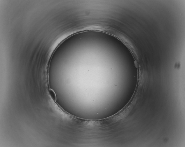 X0000111660808200907171608