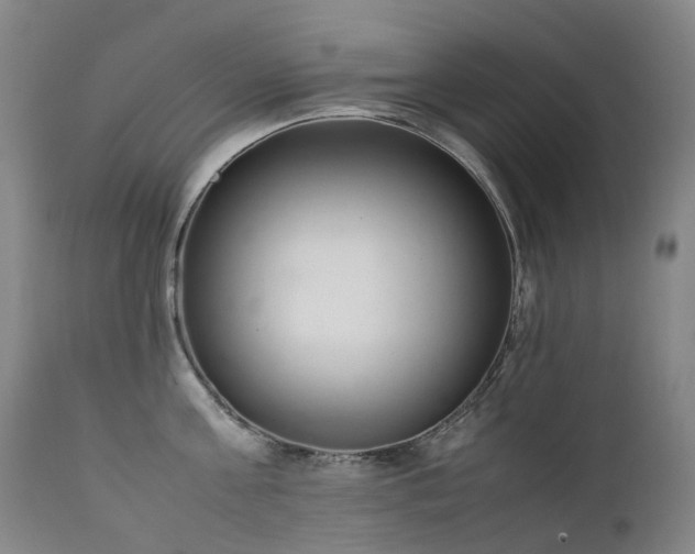 X0000111660811200907171608