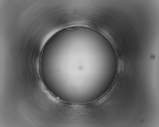 X0000111660812200907171608
