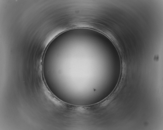 X0000111660814200907171608